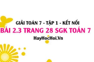 Giải bài 2.3 trang 28 Toán 7 Tập 1 SGK Kết nối tri thức: Làm tròn số